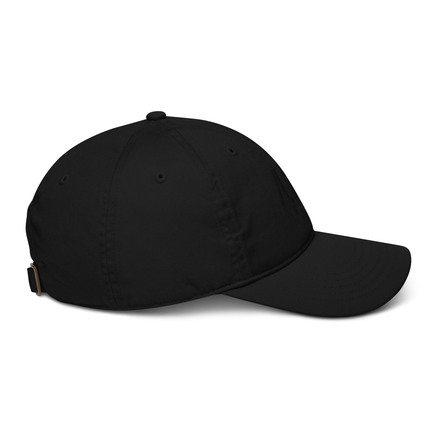 Organic dad hat